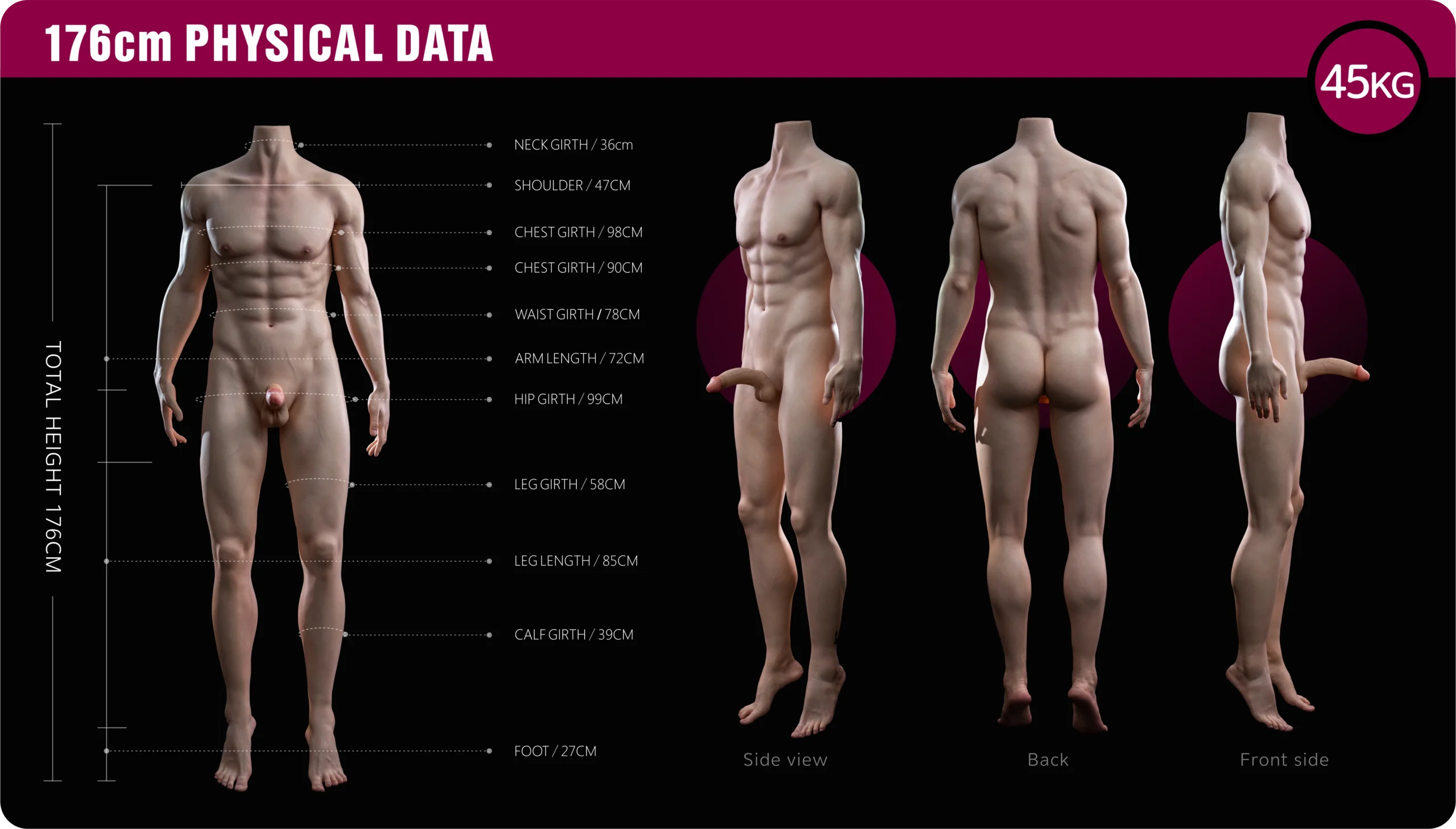 Firefly Male doll 176男